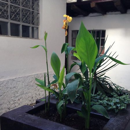 Hostel Chacha International Chachapoyas Exteriér fotografie